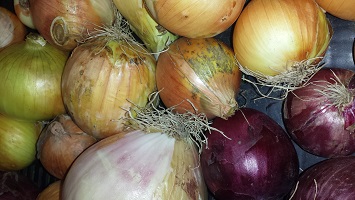 Red and yellow onions